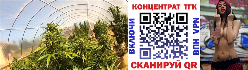 Купить  Щёкино  Дистиллят ТГК вейп с тгк 